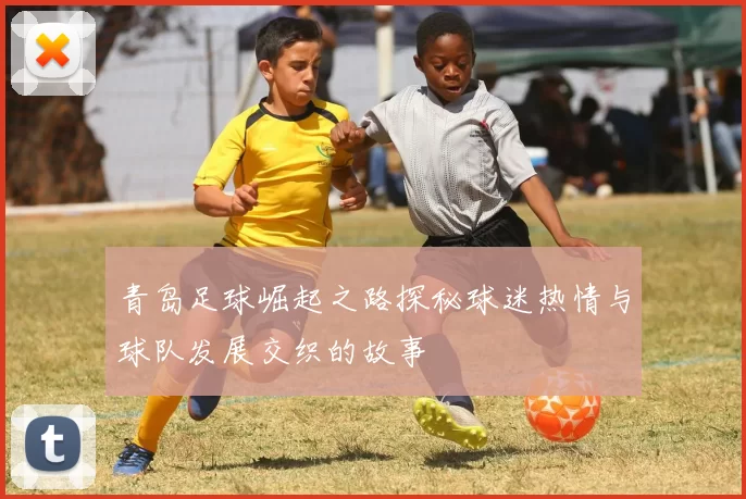 青岛足球崛起之路探秘球迷热情与球队发展交织的故事