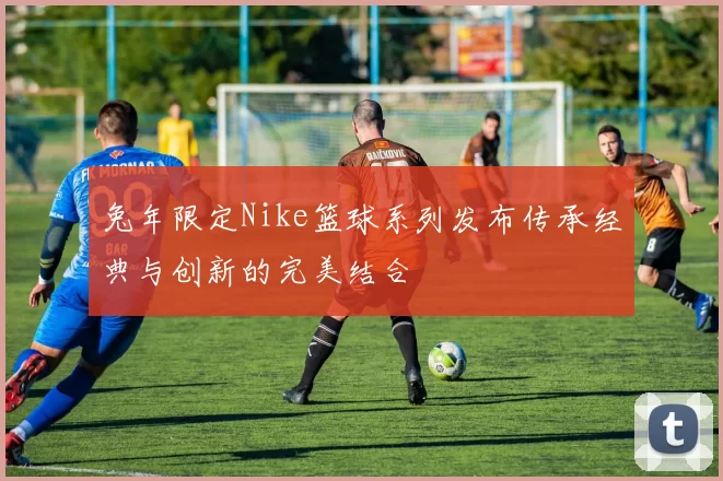 兔年限定Nike篮球系列发布传承经典与创新的完美结合