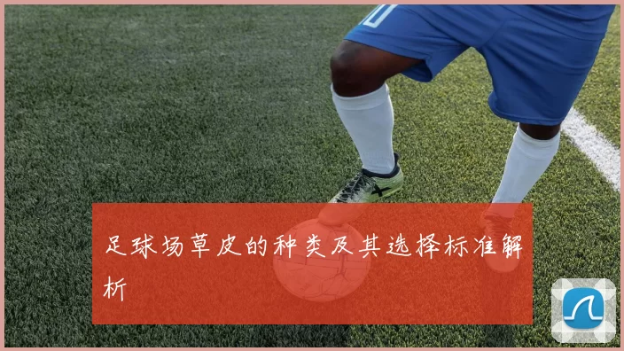 足球场草皮的种类及其选择标准解析
