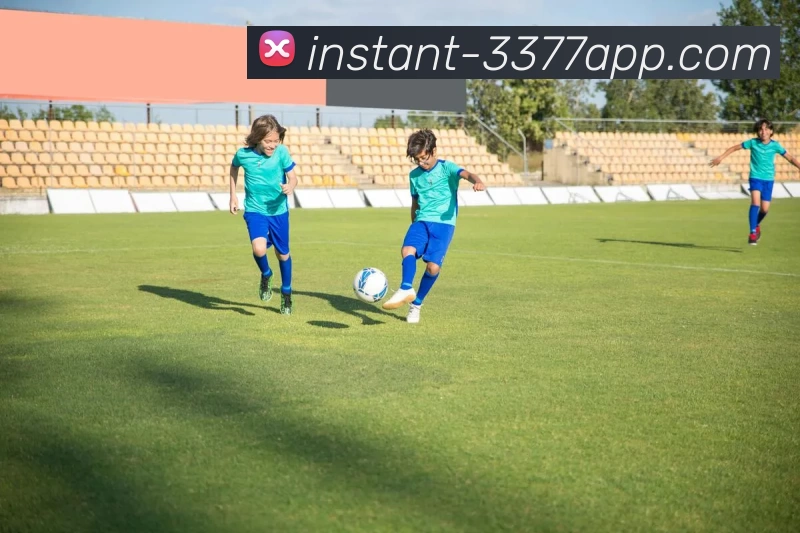 3377体育服务体系